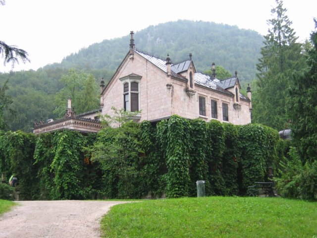 Photograph