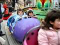 Photo Number 13