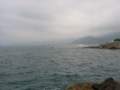 Photo Number 8