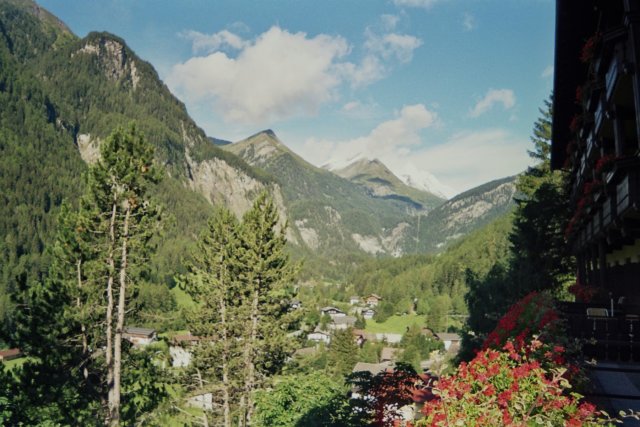 Photograph