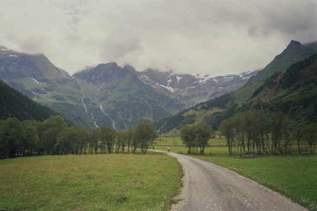 Photograph