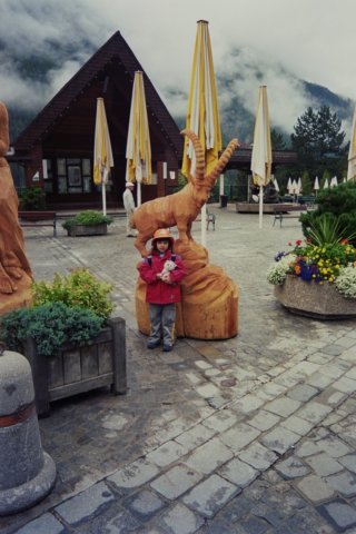 Photograph