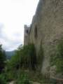 Photo Number 5
