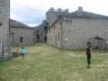 Photo Number 8