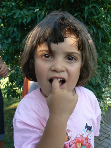 p1020366.jpg