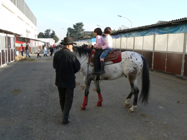 p1030710.jpg