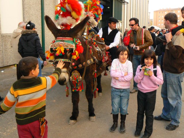 p1030722.jpg