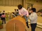 p1030746_small.jpg