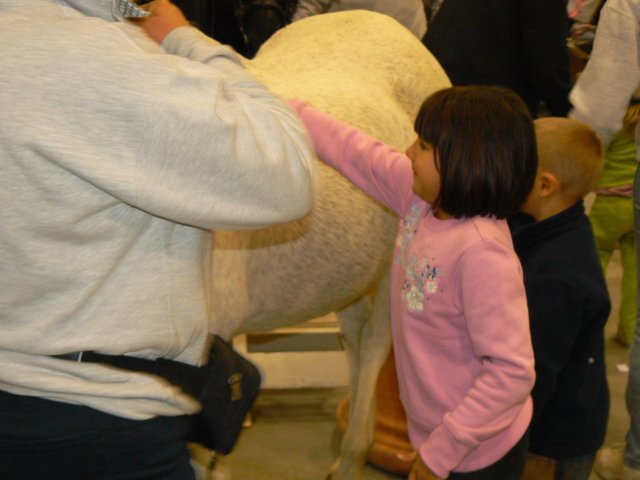 p1030753.jpg