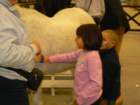 p1030754_small.jpg