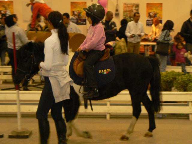 p1030766.jpg