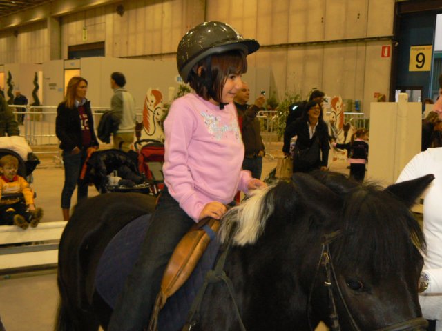 p1030772.jpg