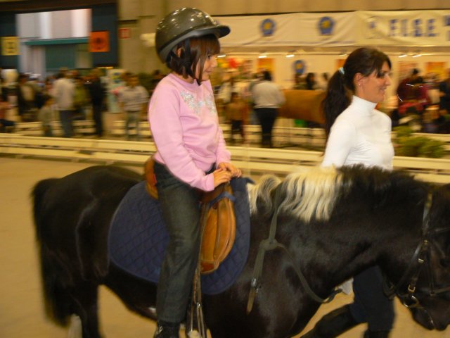 p1030774.jpg