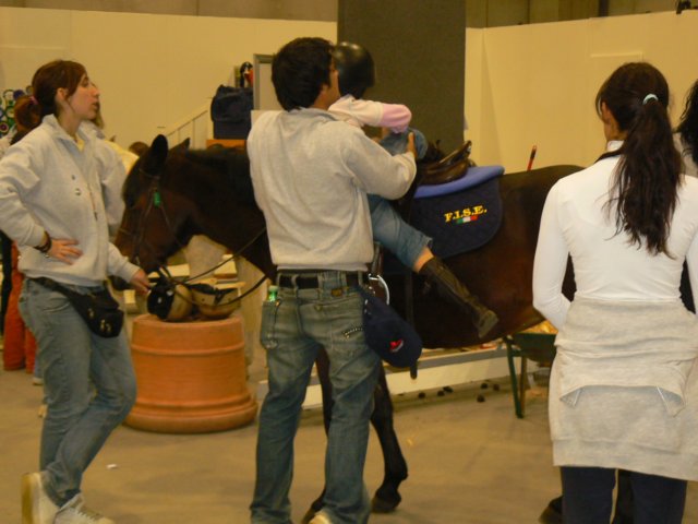 p1030778.jpg