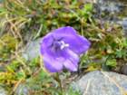 heiligenblut1020agosto2007140_small.jpg