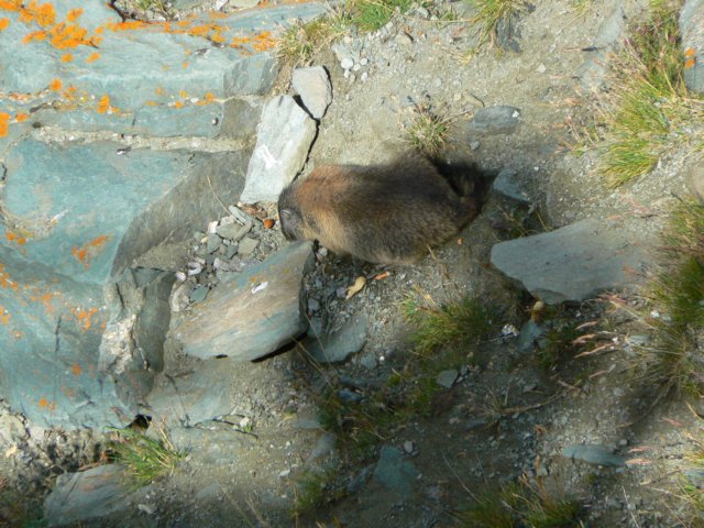 heiligenblut1020agosto20072008.jpg
