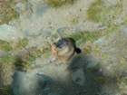 heiligenblut1020agosto20072009_small.jpg
