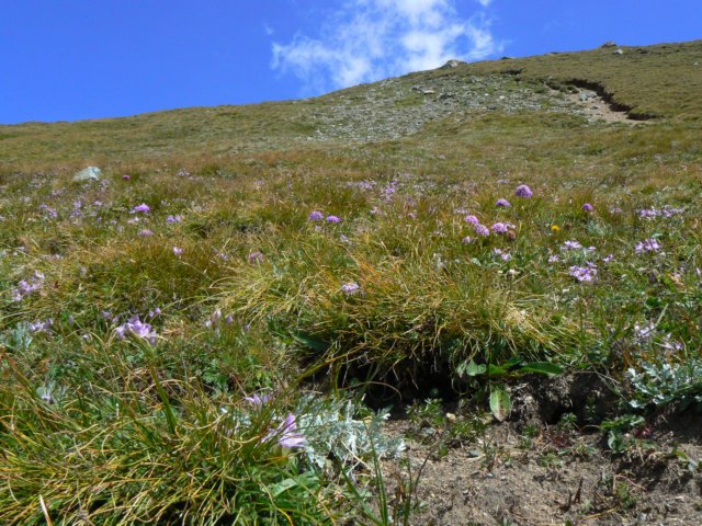 heiligenblut1020agosto20072029.jpg