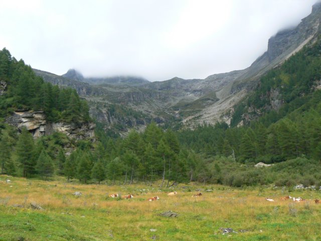 heiligenblut1020agosto20072259.jpg