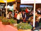 heiligenblut1020agosto2007268_small.jpg