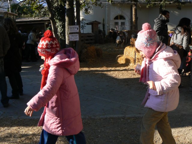p1030846.jpg