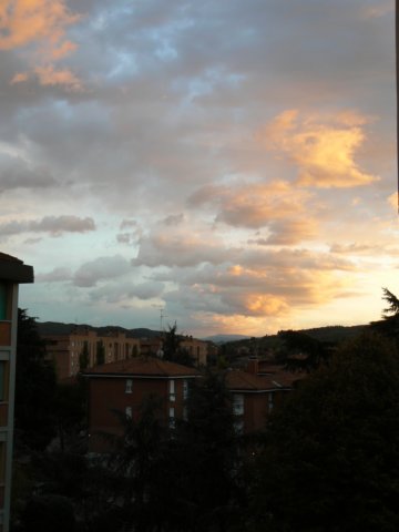 p1030659.jpg